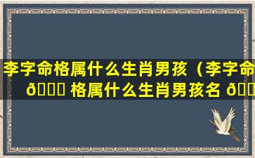 李字命格属什么生肖男孩（李字命 🐞 格属什么生肖男孩名 🌷 字）